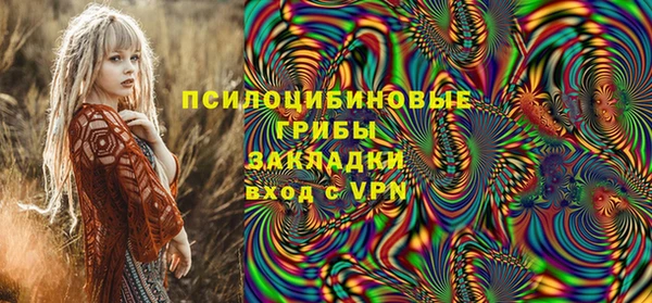 PSILOCYBIN Абаза
