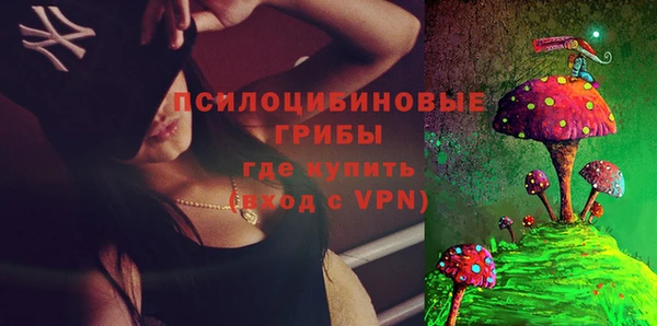ГАЛЛЮЦИНОГЕННЫЕ ГРИБЫ Абдулино