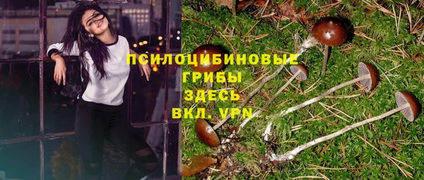 PSILOCYBIN Абаза