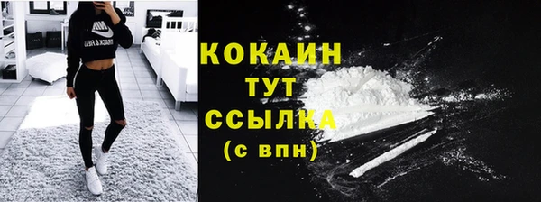 PSILOCYBIN Абаза
