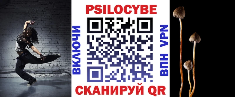 где найти   Ковров  Псилоцибиновые грибы мицелий 